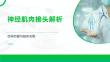 神經(jīng)肌肉接頭解析