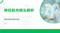 神经肌肉接头解析