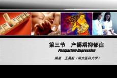 【婦產(chǎn)科學(xué)8版】193產(chǎn)褥期抑郁癥