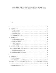 2025知識(shí)產(chǎn)權(quán)侵權(quán)訴訟法律服務(wù)市場(chǎng)分析報(bào)告