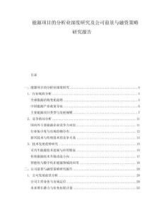 能源項(xiàng)目的分析業(yè)深度研究及公司前景與融資策略研究報(bào)告