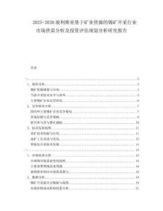 2025-2030玻利維亞基于礦業(yè)資源的錫礦開(kāi)采行業(yè)市場(chǎng)供需分析及投資評(píng)估規(guī)劃分析研究報(bào)告