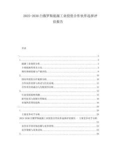 2025-2030白俄羅斯能源工業(yè)投資合作伙伴選擇評(píng)估報(bào)告
