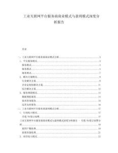 工業(yè)互聯(lián)網(wǎng)平臺服務(wù)商商業(yè)模式與盈利模式深度分析報告