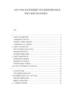 2025-2030良好效果能源產(chǎn)業(yè)市場(chǎng)現(xiàn)狀調(diào)研及技術(shù)革新與投資空間分析報(bào)告