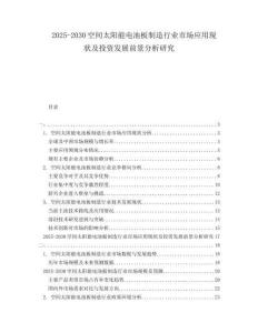 2025-2030空間太陽能電池板制造行業(yè)市場應用現(xiàn)狀及投資發(fā)展前景分析研究