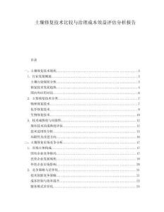 土壤修復(fù)技術(shù)比較與治理成本效益評估分析報告