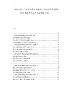 2025-2030白血病藥物腫瘤耐藥性逆轉(zhuǎn)研究分析與治療市場未來發(fā)展規(guī)劃策略分析