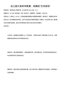 幼儿园大班科学教案：棕熊的“生存密码”