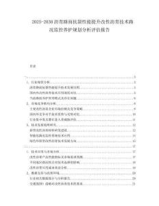 2025-2030瀝青路面抗裂性能提升改性瀝青技術(shù)路況監(jiān)控養(yǎng)護(hù)規(guī)劃分析評(píng)估報(bào)告