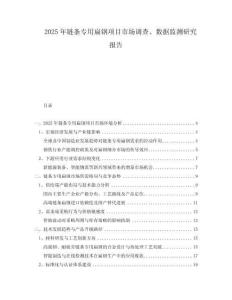 2025年鏈條專用扁鋼項目市場調查、數據監測研究報告