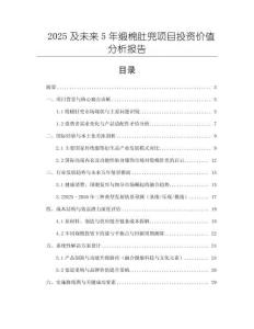 2025及未來5年緞棉肚兜項目投資價值分析報告