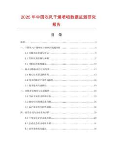 2025年中國(guó)吹風(fēng)干燥噴咀數(shù)據(jù)監(jiān)測(cè)研究報(bào)告