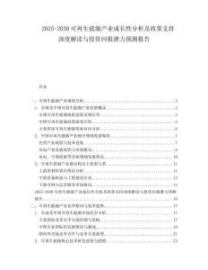 2025-2030可再生能源產業(yè)成長性分析及政策支持深度解讀與投資回報潛力預測報告