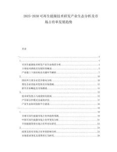 2025-2030可再生能源技術(shù)研發(fā)產(chǎn)業(yè)生態(tài)分析及市場占有率發(fā)展趨勢