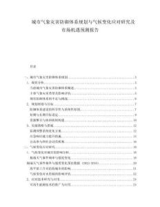城市氣象災(zāi)害防御體系規(guī)劃與氣候變化應(yīng)對(duì)研究及市場機(jī)遇預(yù)測報(bào)告