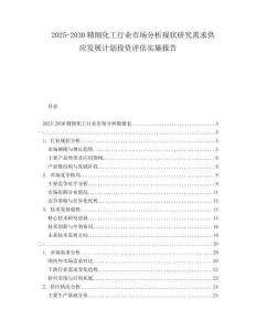 2025-2030精細(xì)化工行業(yè)市場分析現(xiàn)狀研究需求供應(yīng)發(fā)展計劃投資評估實施報告