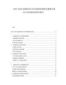 2025-2030金融科技行業(yè)市場(chǎng)現(xiàn)狀調(diào)研及數(shù)據(jù)分析與行業(yè)發(fā)展前景研究報(bào)告