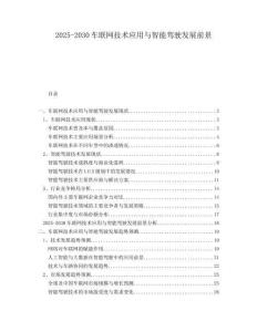 2025-2030車聯(lián)網(wǎng)技術應用與智能駕駛發(fā)展前景