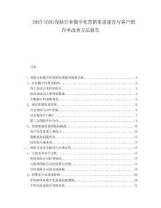 2025-2030保險(xiǎn)行業(yè)數(shù)字化營銷渠道建設(shè)與客戶留存率改善方法報(bào)告