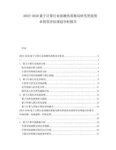 2025-2030量子計算行業(yè)前瞻供需格局研究所致資本投資評估規(guī)劃分析報告