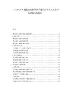 2025-2030糧食安全保障體系建設(shè)發(fā)展現(xiàn)狀政策評估規(guī)劃分析報告
