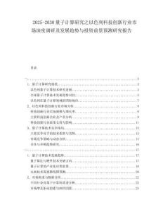 2025-2030量子計(jì)算研究之以色列科技創(chuàng)新行業(yè)市場(chǎng)深度調(diào)研及發(fā)展趨勢(shì)與投資前景預(yù)測(cè)研究報(bào)告