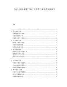 2025-2030磷酸三鈉行業(yè)規(guī)范污染治理發(fā)展報告