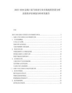 2025-2030邊境口家當(dāng)商業(yè)行業(yè)市場現(xiàn)狀供需分析及投資評估規(guī)劃分析研究報(bào)告