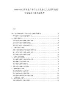 2025-2030跨境電商平臺(tái)運(yùn)營生態(tài)優(yōu)化及國際物流倉儲(chǔ)配送網(wǎng)絡(luò)規(guī)劃報(bào)告