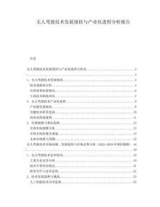 無人駕駛技術(shù)發(fā)展現(xiàn)狀與產(chǎn)業(yè)化進(jìn)程分析報(bào)告