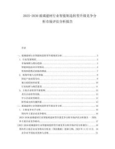 2025-2030玻璃建材行業(yè)智能制造轉(zhuǎn)型升級競爭分析市場評估分析報告