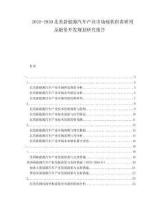 2025-2030北美新能源汽車產(chǎn)業(yè)市場(chǎng)現(xiàn)狀供需研判及融資開發(fā)規(guī)劃研究報(bào)告