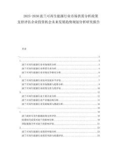 2025-2030波蘭可再生能源行業(yè)市場供需分析政策支持評估企業(yè)投資機會未來發(fā)展趨勢規(guī)劃分析研究報告