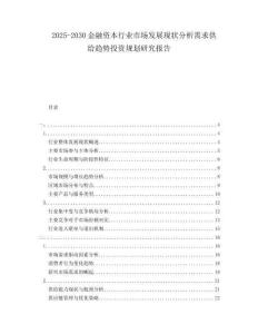 2025-2030金融資本行業(yè)市場發(fā)展現(xiàn)狀分析需求供給趨勢投資規(guī)劃研究報告