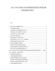 2025-2030金融行業(yè)市場規(guī)模深度挖掘及普惠金融發(fā)展戰(zhàn)略研究報(bào)告