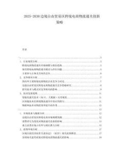 2025-2030邊境自由貿(mào)易區(qū)跨境電商物流通關(guān)創(chuàng)新策略