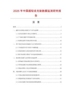 2025年中國(guó)超輕自充墊數(shù)據(jù)監(jiān)測(cè)研究報(bào)告