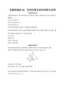 2026屆高三二輪復(fù)習(xí)試題數(shù)學(xué)專(zhuān)題突破練10空間位置關(guān)系的判斷與證明