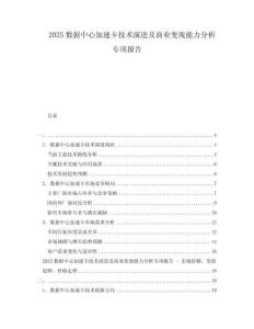 2025數(shù)據(jù)中心加速卡技術(shù)演進(jìn)及商業(yè)變現(xiàn)能力分析專項報告