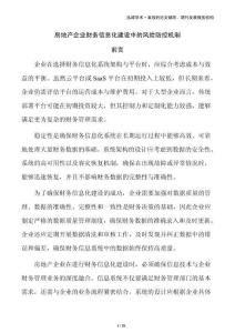 房地產企業(yè)財務信息化建設中的風險防控機制