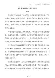 系统漏洞检测与定期安全审计