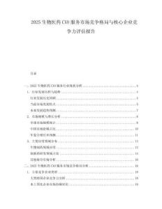 2025生物醫(yī)藥CXO服務(wù)市場競爭格局與核心企業(yè)競爭力評估報告