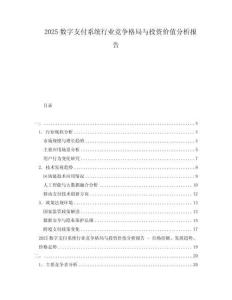 2025數(shù)字支付系統(tǒng)行業(yè)競爭格局與投資價(jià)值分析報(bào)告