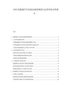2025氫能源汽車加氫站建設(shè)規(guī)劃與運營風(fēng)險分析報告