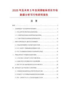 2025年及未來5年自潤滑鏈條項目市場數據分析可行性研究報告
