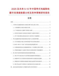2025及未来5-10年中国带式电磁除铁器市场调查数据分析及竞争策略研究报告