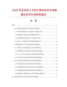 2025年及未來5年刮刀型材項(xiàng)目市場(chǎng)數(shù)據(jù)分析可行性研究報(bào)告