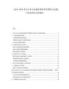 2025-2030考古行业文化遗址保护和非物质文化遗产传承研究分析报告