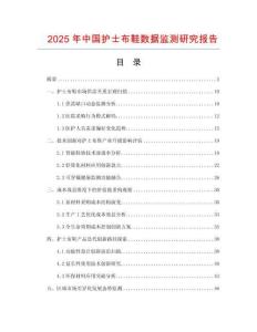 2025年中國護(hù)士布鞋數(shù)據(jù)監(jiān)測研究報告